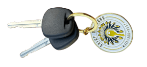 Types of Locks for Doors